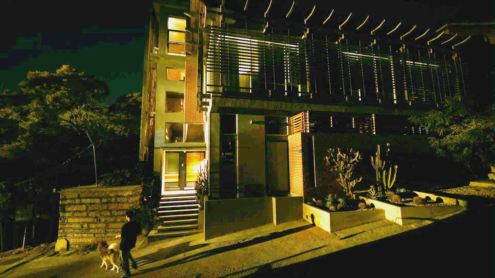 郑宇星家