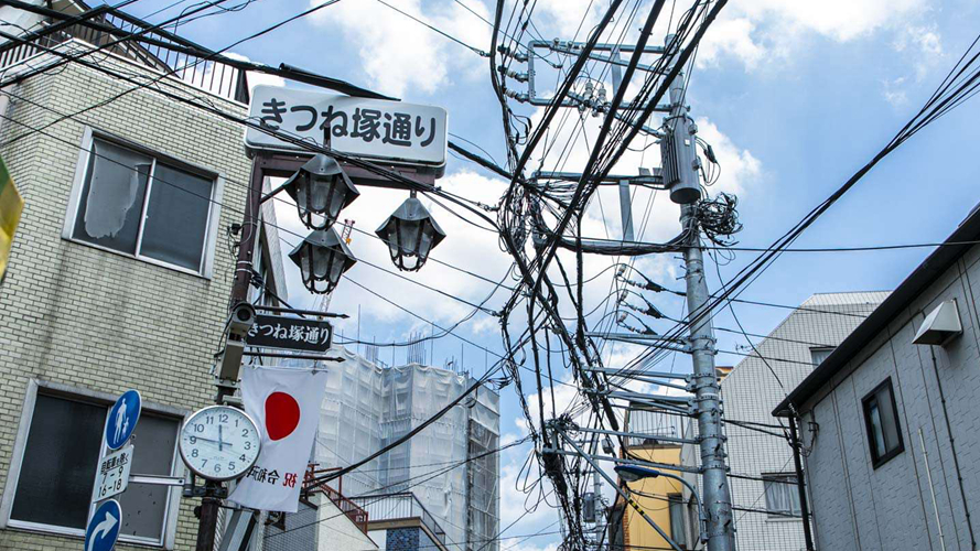 狐狸冢路