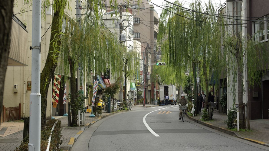 根岸柳路