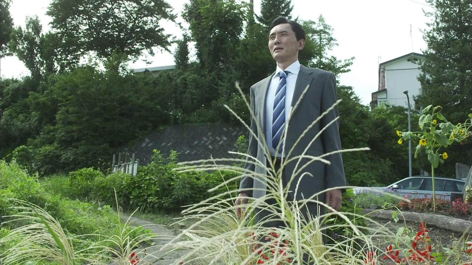 五郎眺望风景