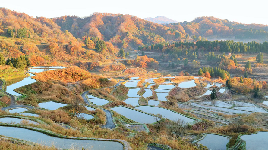 星峠梯田