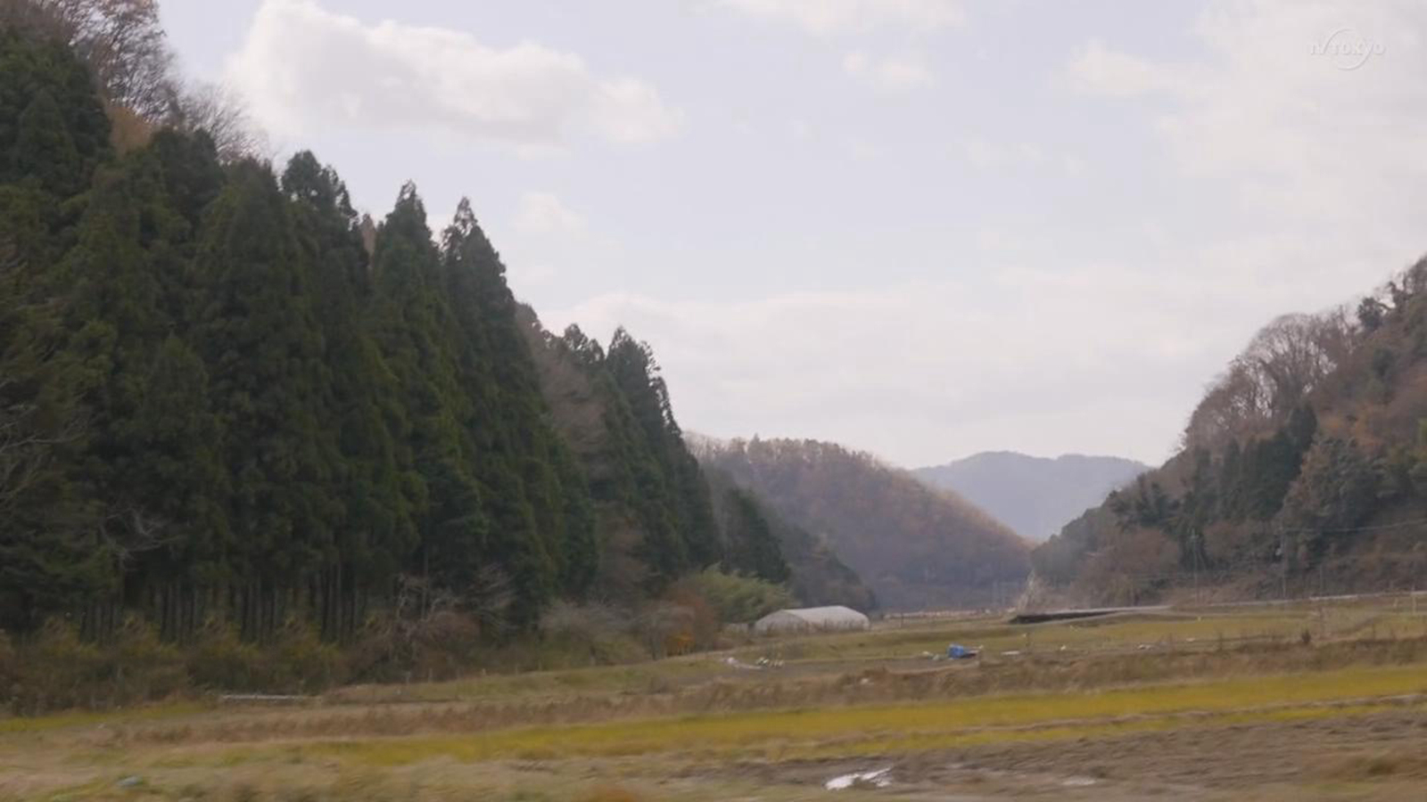 五郎经过的地方