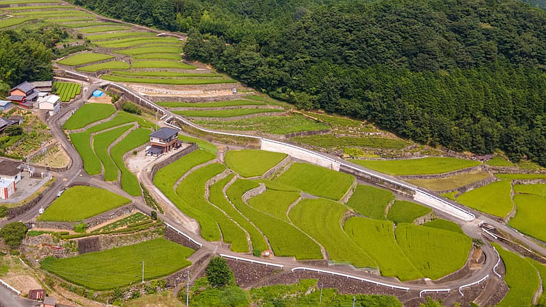 深野梯田
