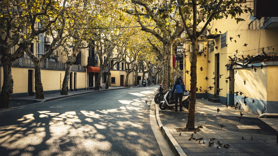 延庆路
