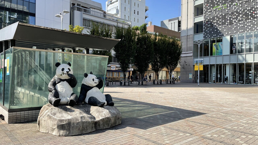 御徒町熊猫广场