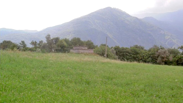 圣马丁街草地