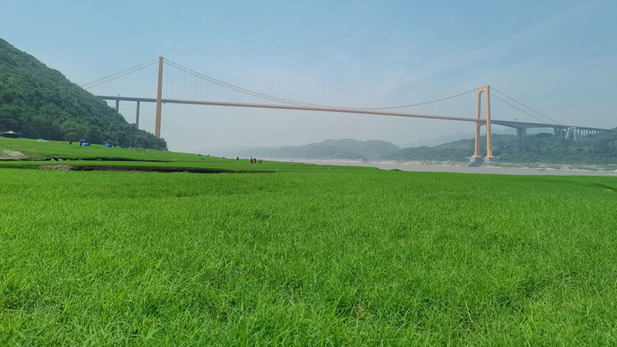南坪坝草场