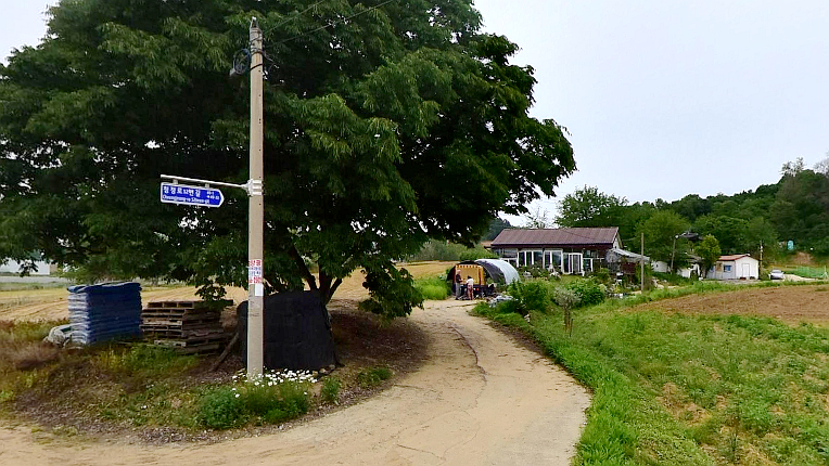 芦谷里536号