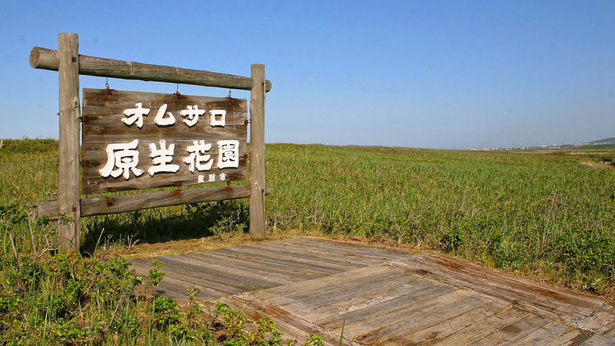 欧姆萨罗原始花园