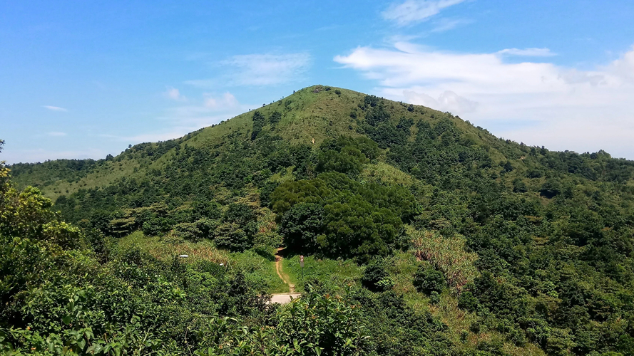 东洋山