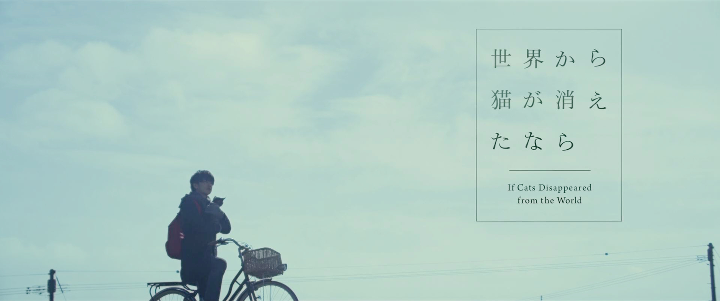 片名出现