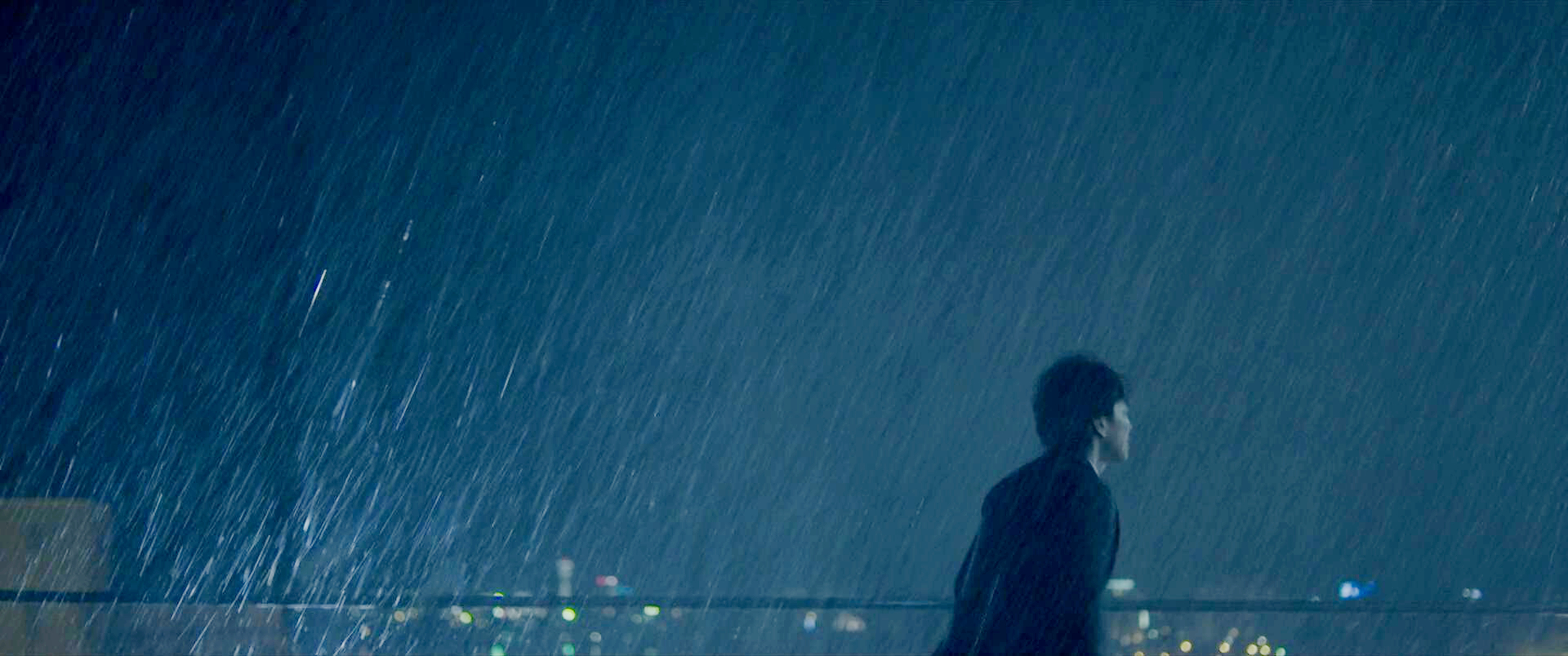 雨夜寻猫