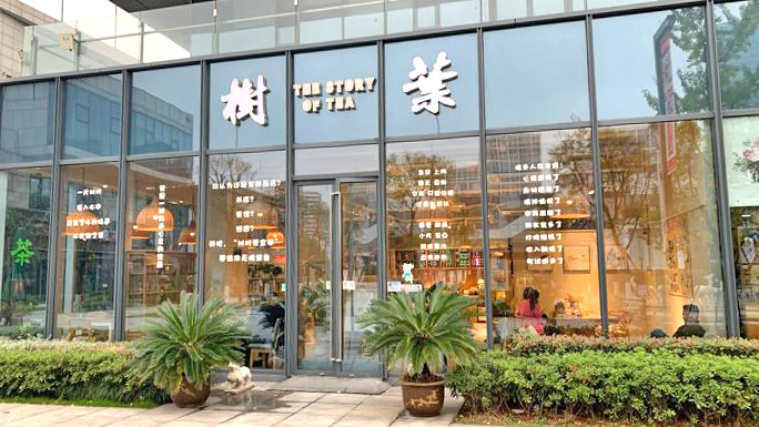 树叶茶空间