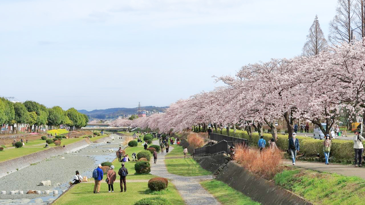 秦野市文化公园