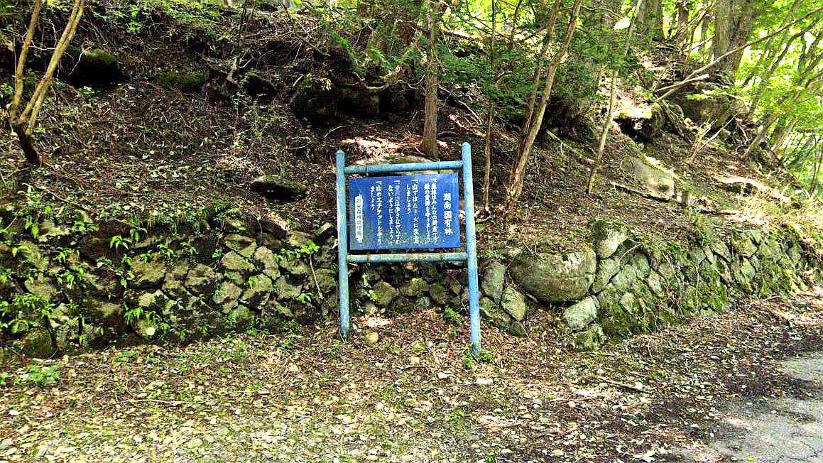 县道293湖南国有林