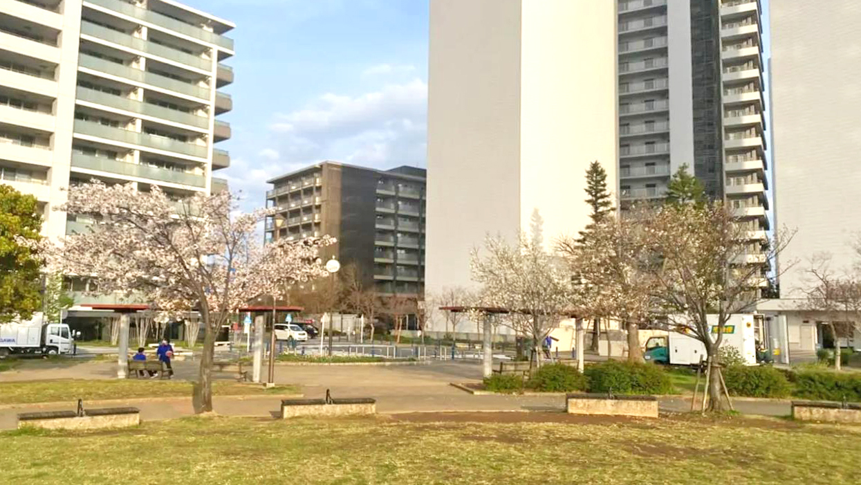 星野町公园