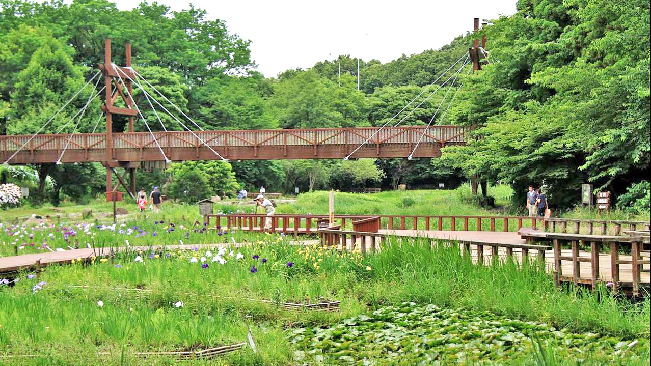 泉之森公园