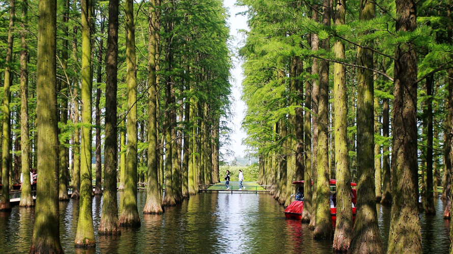 渌洋湖湿地公园
