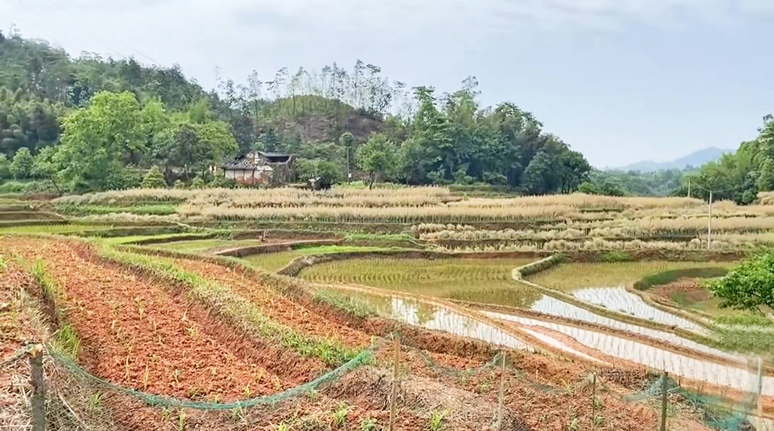 迎祥村