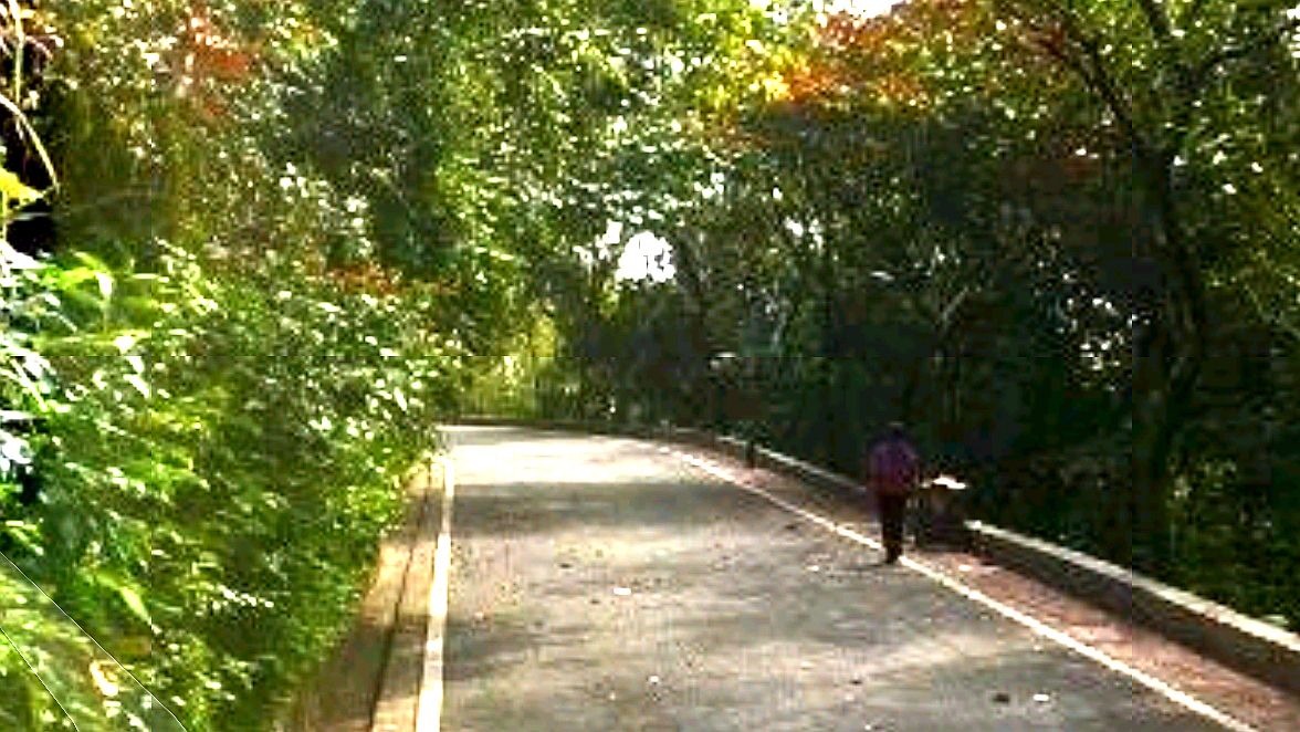 云山中路