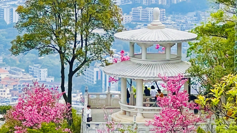 摘斗亭