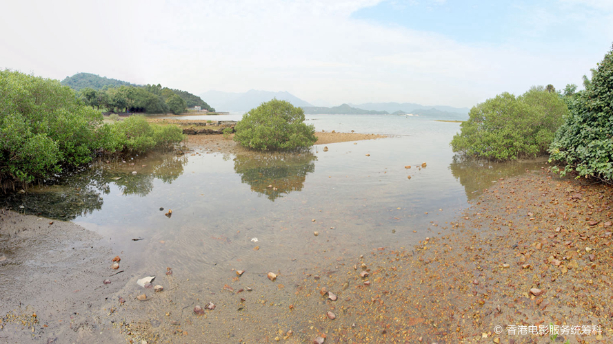 泥涌石滩