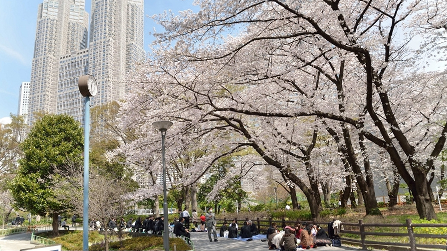 新宿中央公园