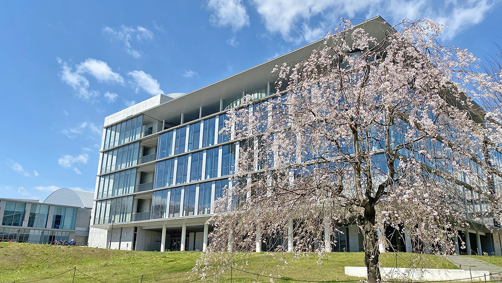 横滨桐荫大学