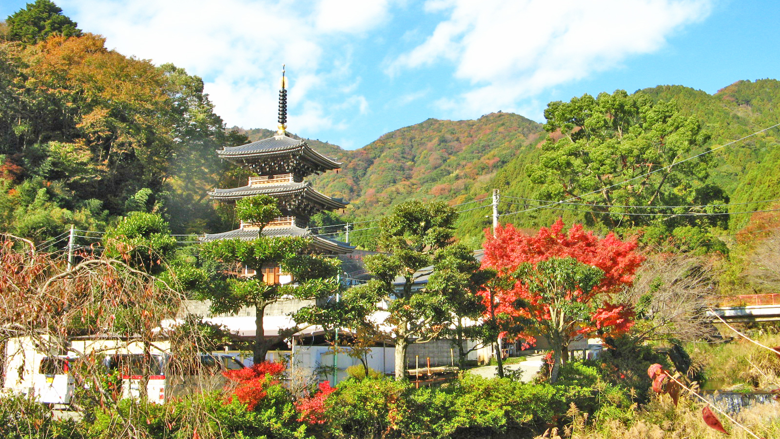 净发愿寺