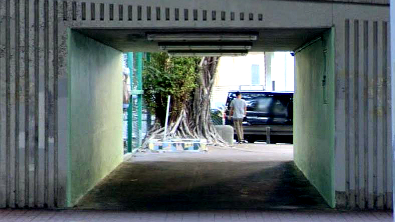通州街柳树街行人隧道