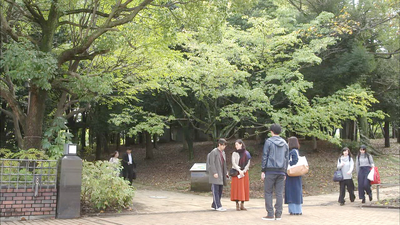 开始寻找窨井盖划痕