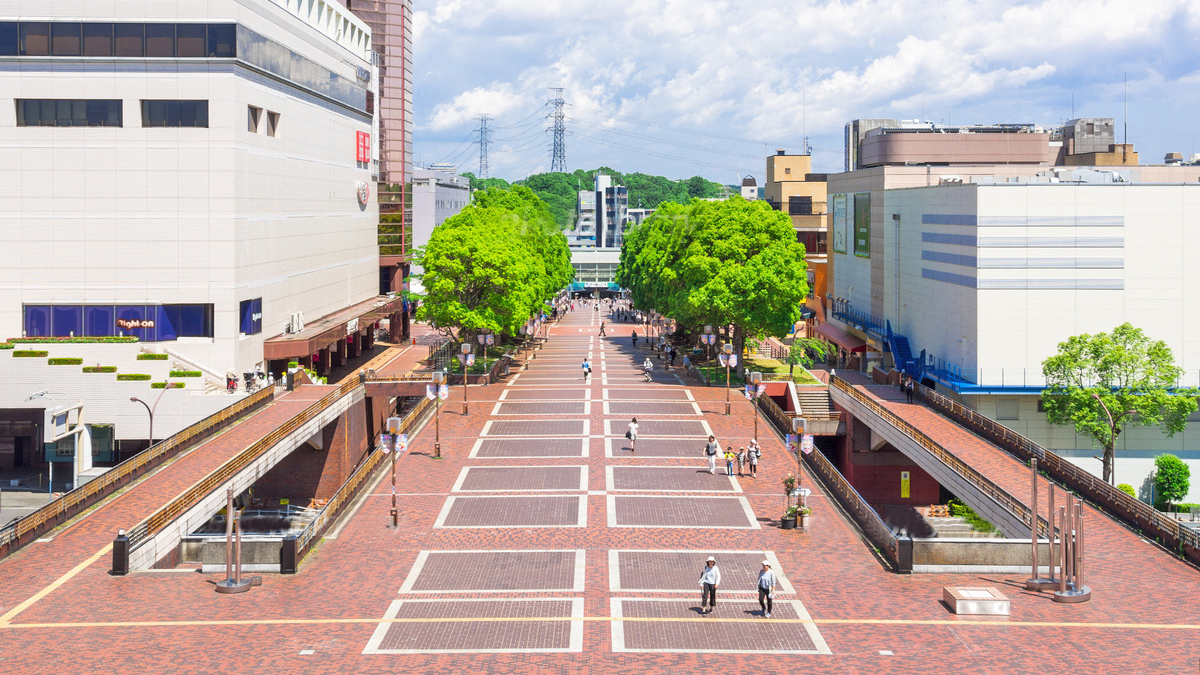 帕台农大道