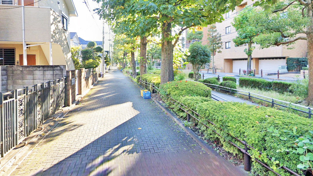 北泽川绿道百合树公园