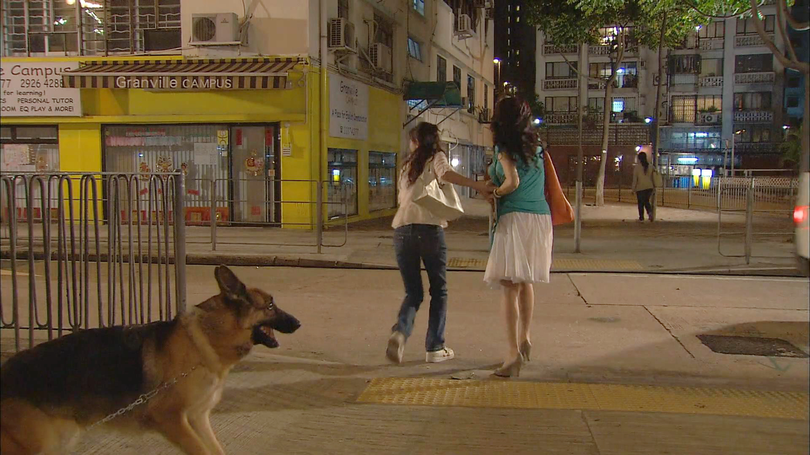 野狗挡道