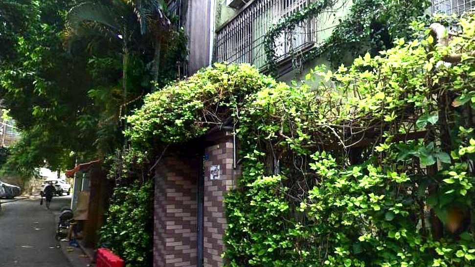 华新路46号