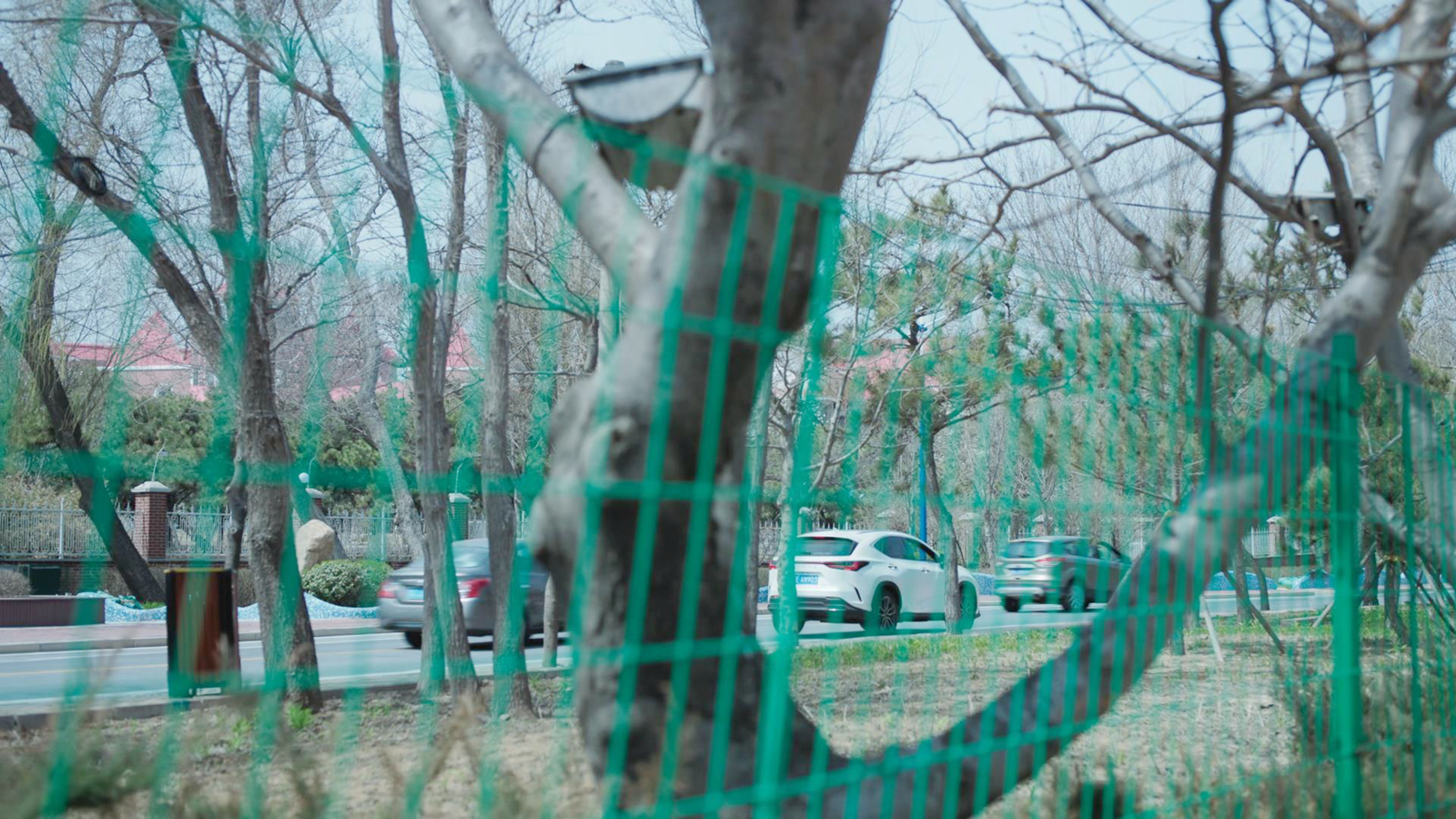 谷运来放风筝的海滩