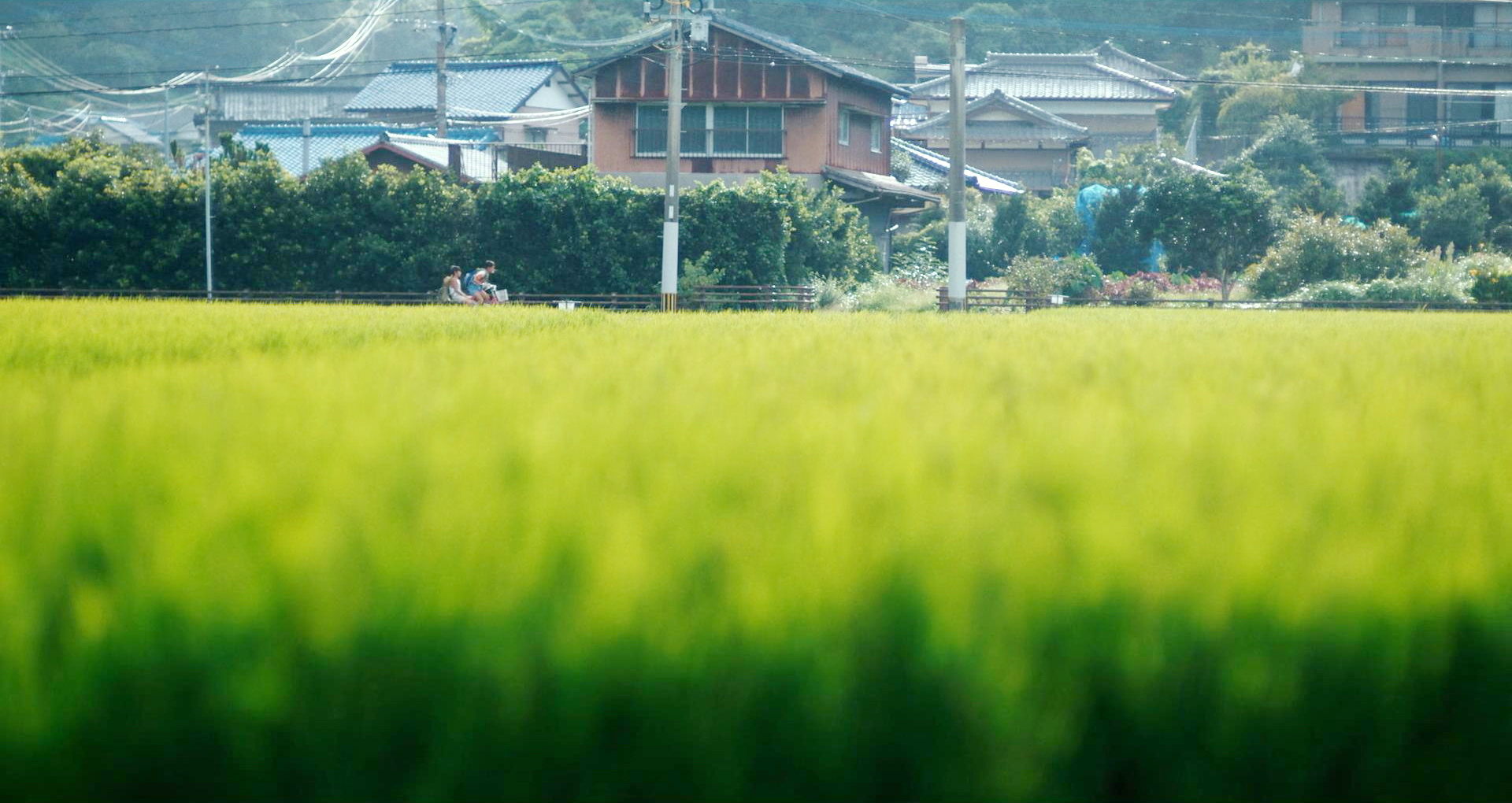 去回力镖岛路上