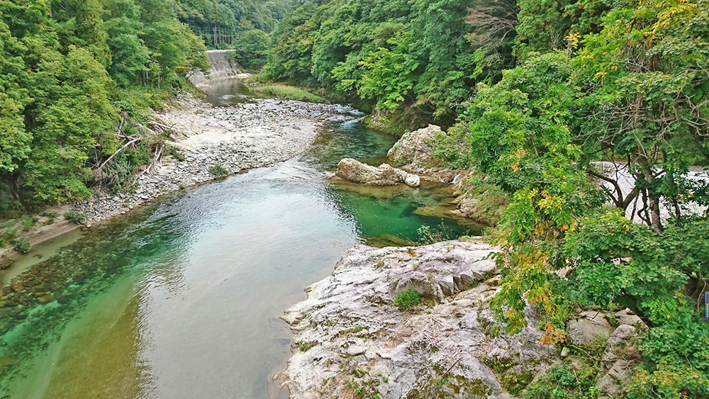 芜菁岩与颈岩