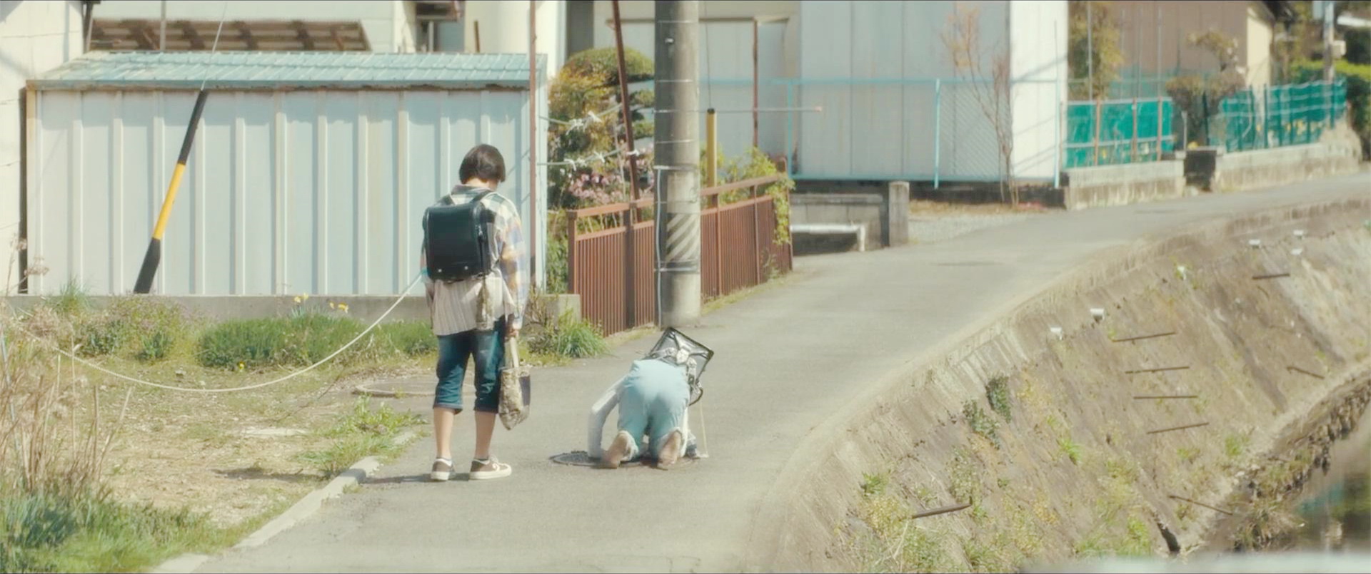 窨井盖下的猫