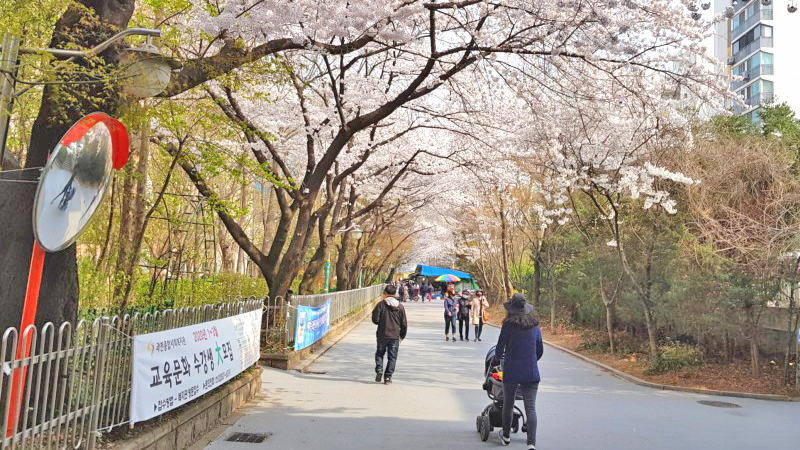 隧道桥街