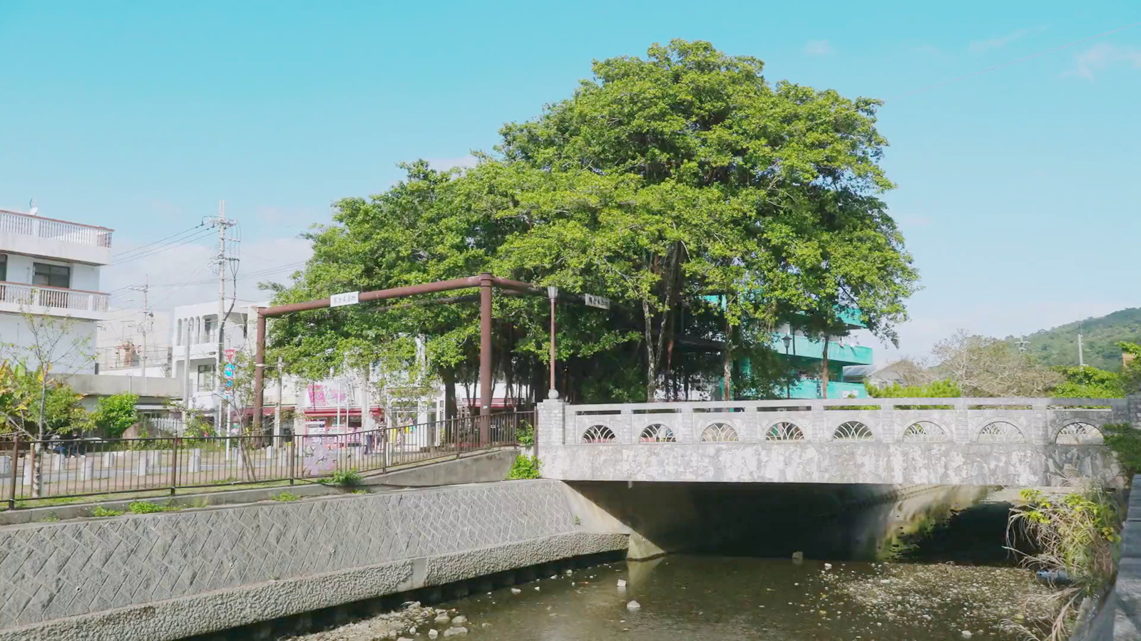 五郎游览名护