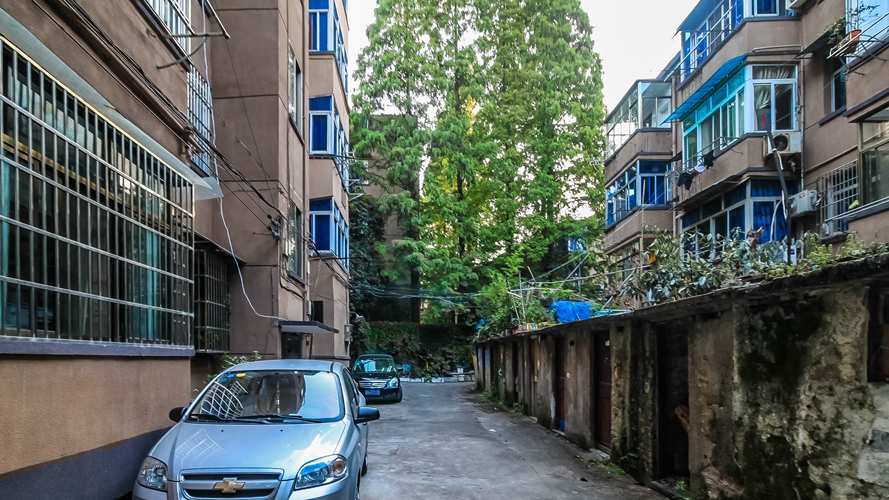 市水产公司小区