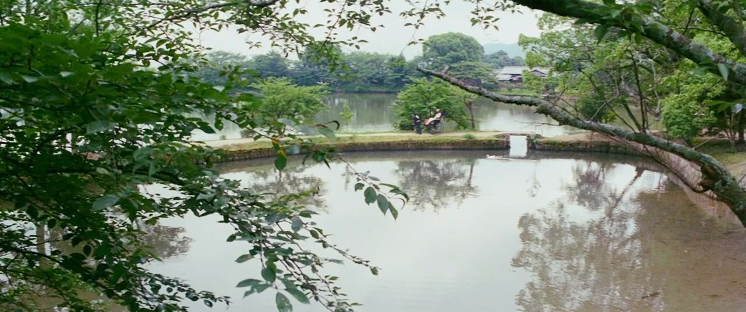 宋庆龄到日本