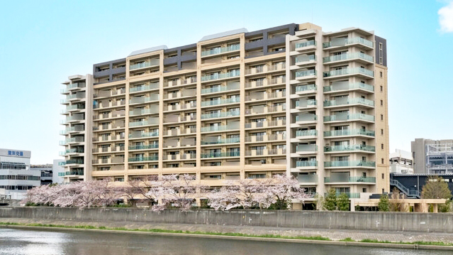 维雷纳城海滩宫