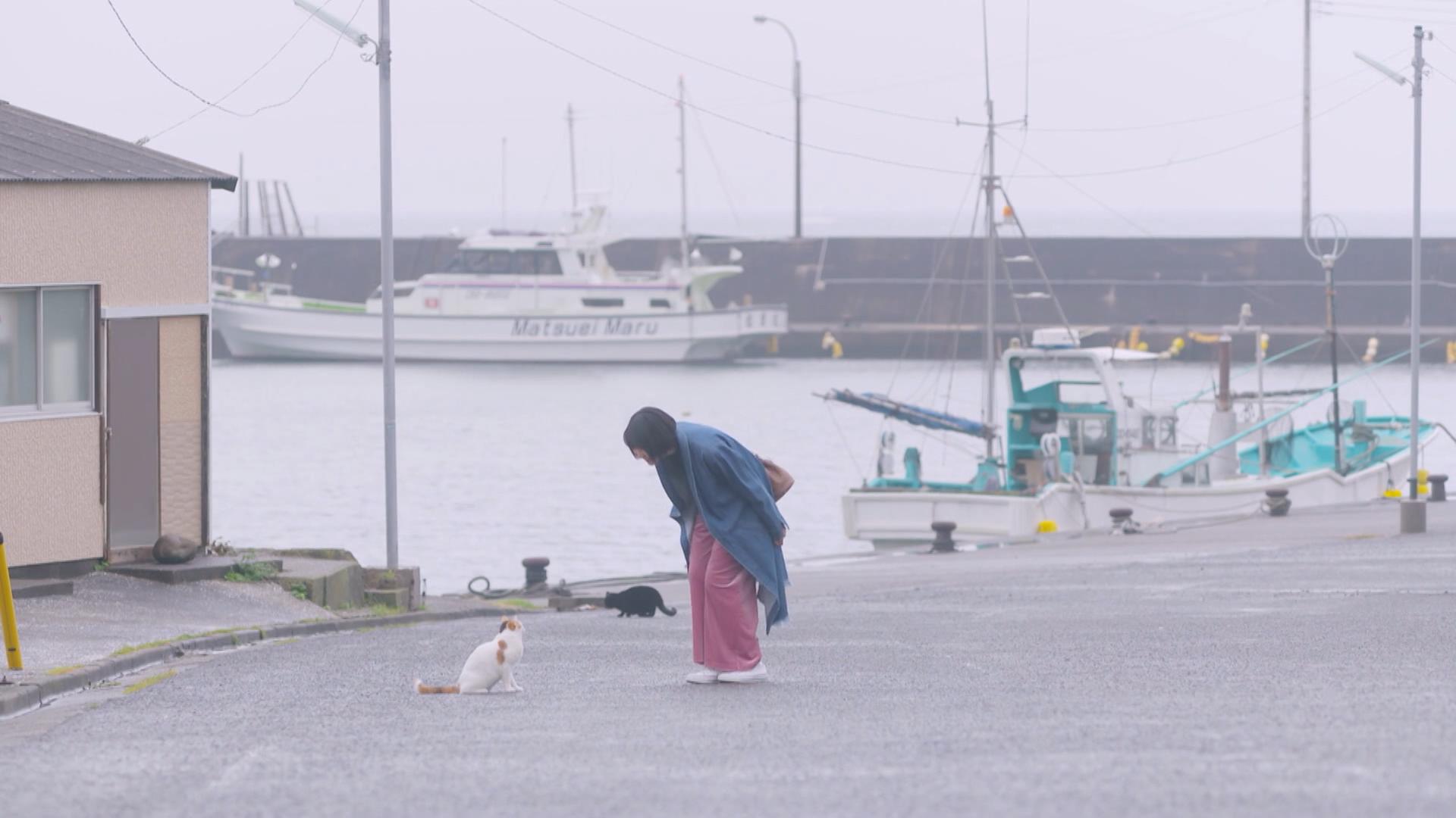 馆山渔港