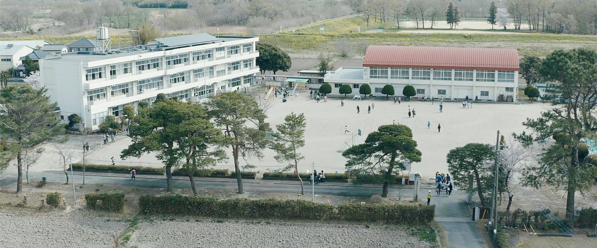 野津町小学