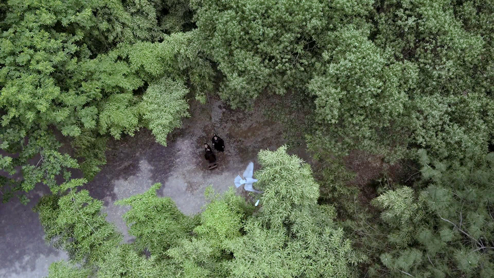 追司理理/回南庆的树林