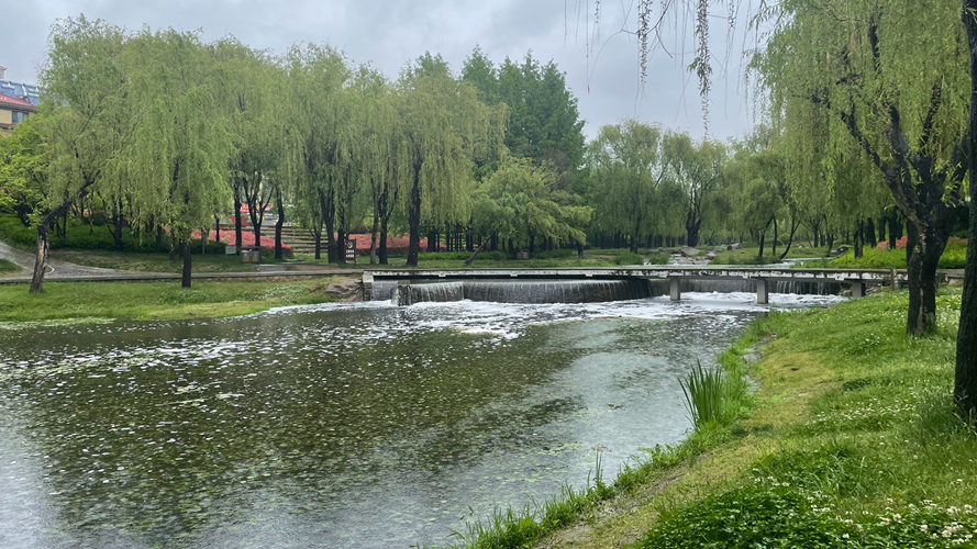 李沧区溪流湿地