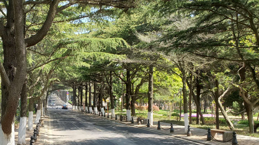 紫荆关路