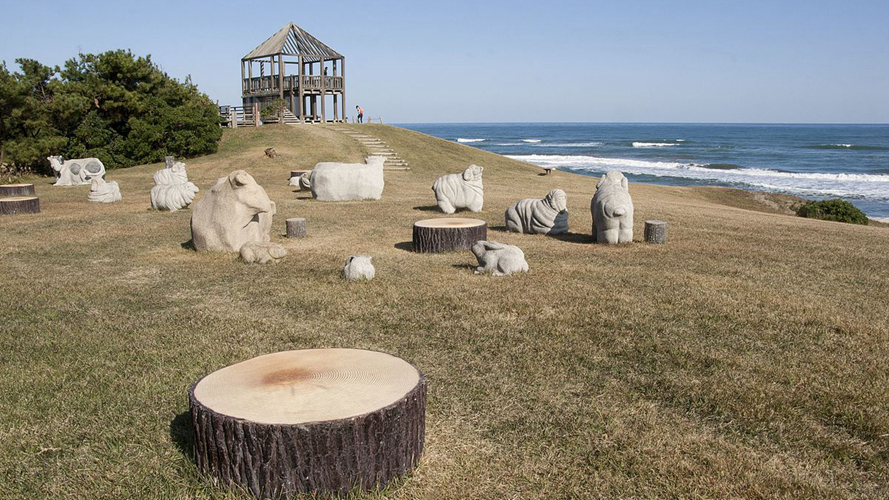 大竹海岸野餐广场
